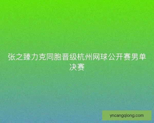 张之臻力克同胞晋级杭州网球公开赛男单决赛 张之臻力克同胞晋级杭州网球公开赛男单决赛