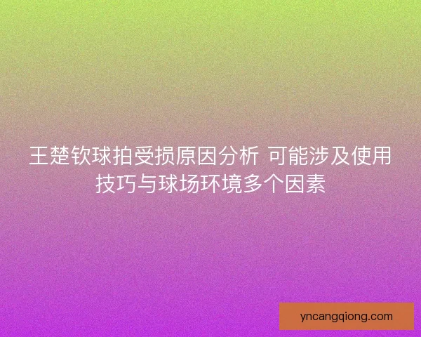 王楚钦球拍受损原因分析 可能涉及使用技巧与球场环境多个因素